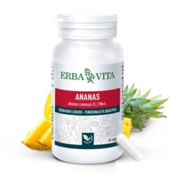   Natur Tanya® E. ANANÁSZ NÖVÉNYI KAPSZULA - Bromelain enzim és cikória gyökér inulin prebiotikum