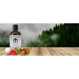Naja Forest N7 Bio Chaga – Bio Süngomba – Bio Acerola étrend-kiegészítő (100 ml)