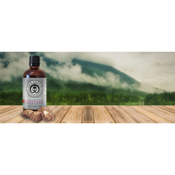 Naja Forest Bio Shiitake Étrend-kiegészítő (100ml)