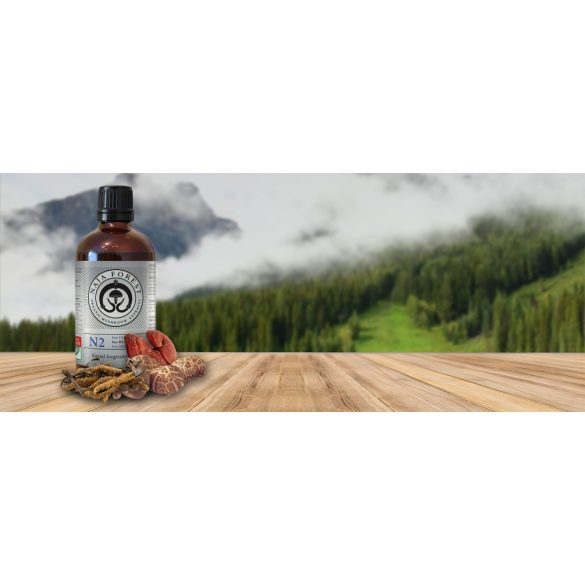 Naja Forest N2 bio Cordyceps, bio Reishi, bio Shiitake Étrend-kiegészítő (100ml)