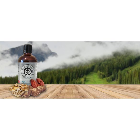 Naja Forest N4 bio Maitake, bio Reishi, bio Shiitake Étrend-kiegészítő (100ml)