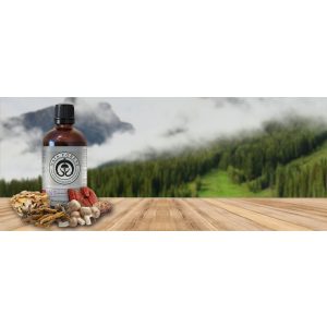 Naja Forest N5 bio Cordyceps, bio Mandula, bio Maitake, bio Shiitake, bio Reishi Étrend-kiegészítő (100ml)