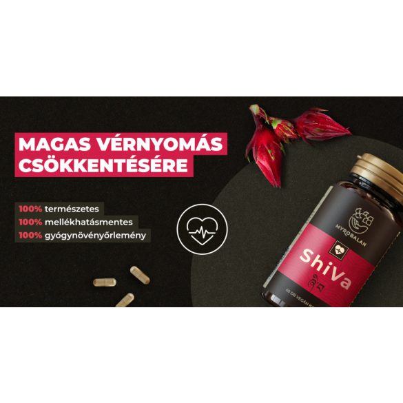 ShiVa vérnyomáscsökkentő gyógynövény-komplex